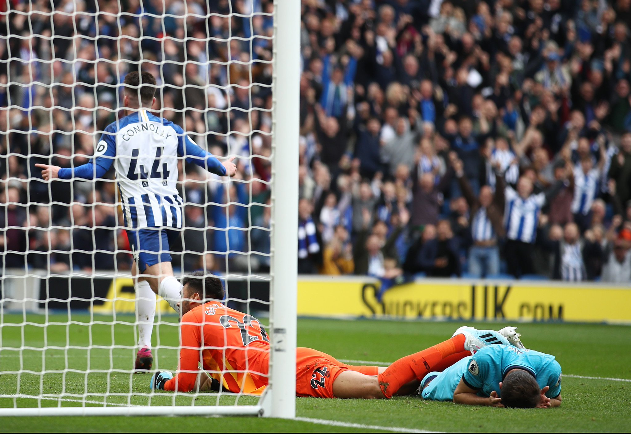 引擎优化效 引擎优化效